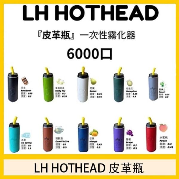LH HOTHEAD皮革瓶電子煙可充電6000口一次性